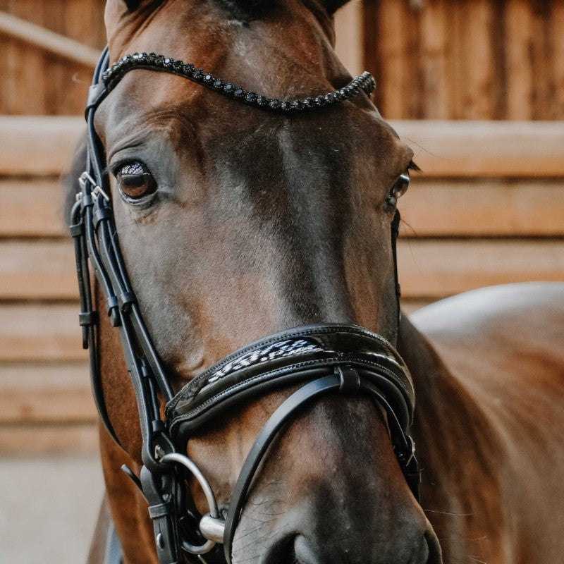 Norton - Bridon de dressage Royal noir | - Ohlala