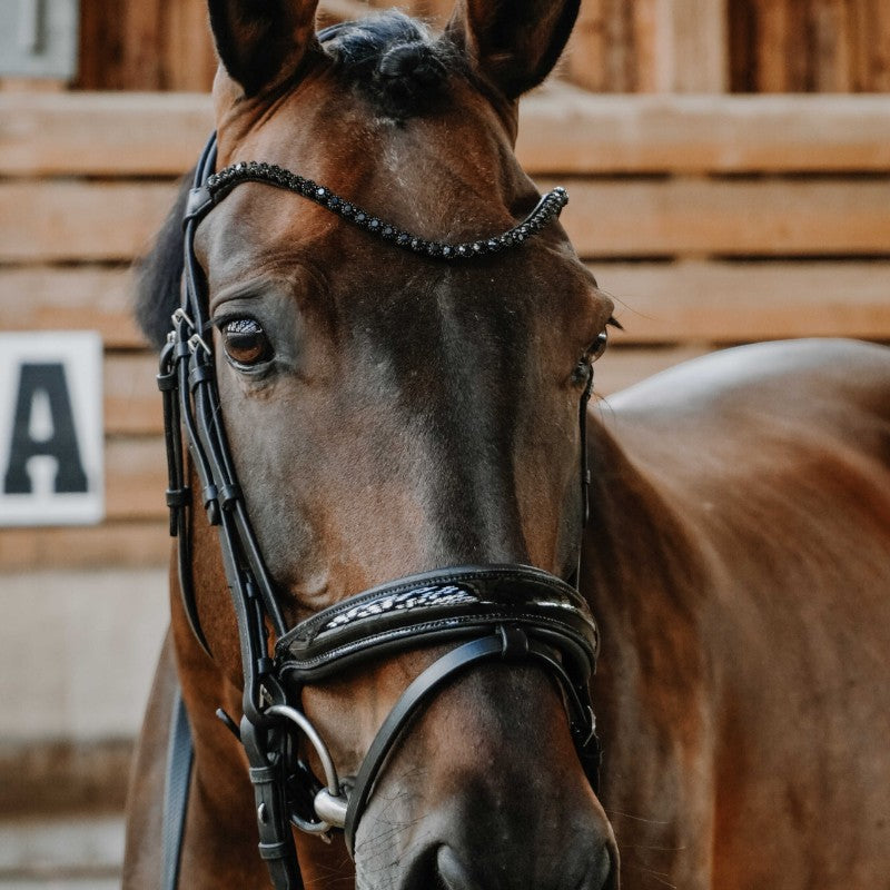 Norton - Bridon de dressage Royal noir | - Ohlala