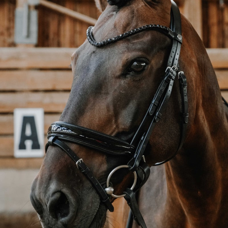 Norton - Bridon de dressage Royal noir | - Ohlala