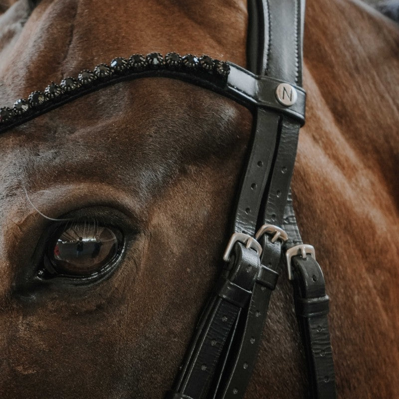 Norton - Bridon de dressage Royal noir | - Ohlala