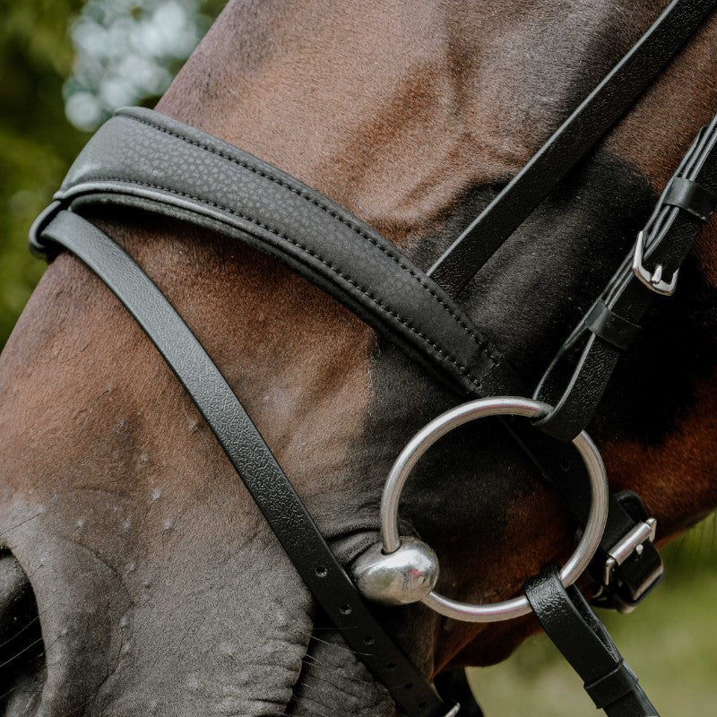 Norton - Bridon endurance Pop noir | - Ohlala