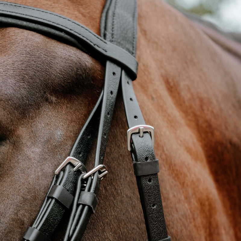 Norton - Bridon endurance Pop noir | - Ohlala