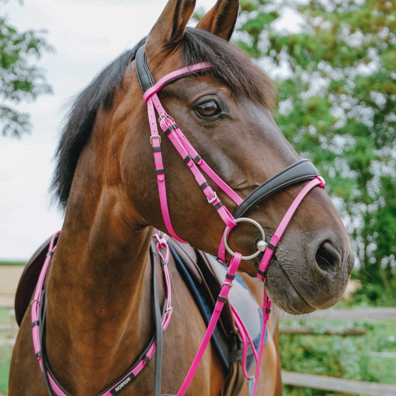 Norton - Bridon endurance Pop rose | - Ohlala