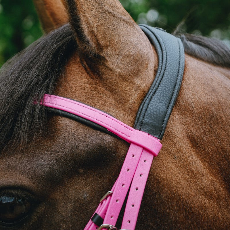 Norton - Bridon endurance Pop rose | - Ohlala