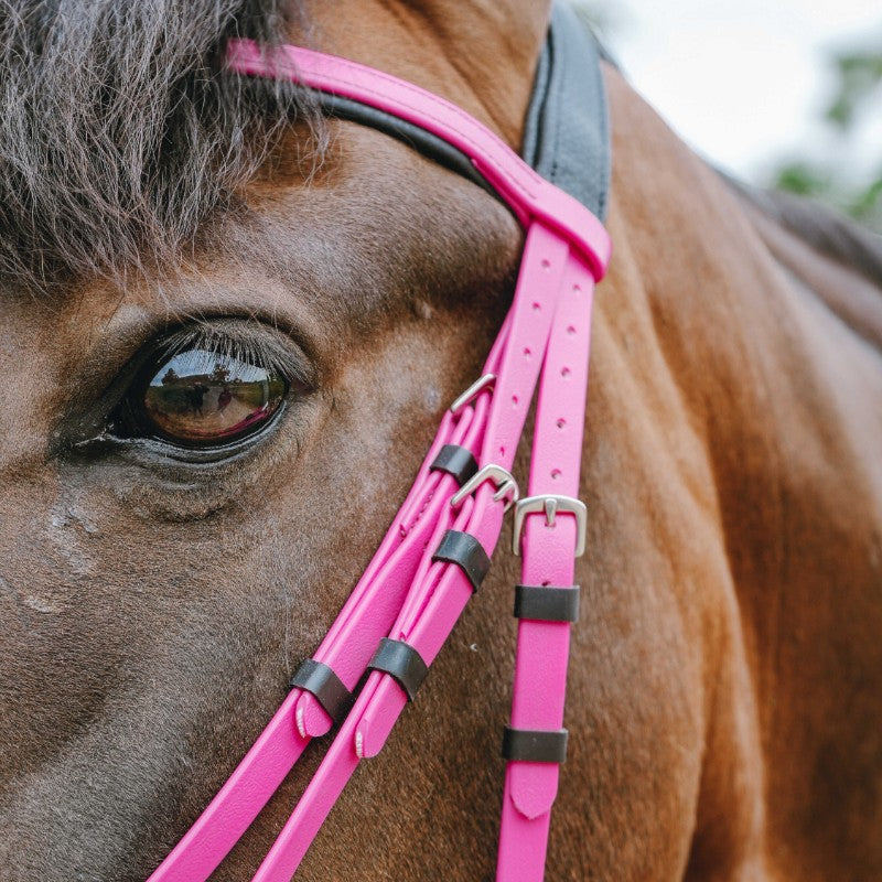 Norton - Bridon endurance Pop rose | - Ohlala