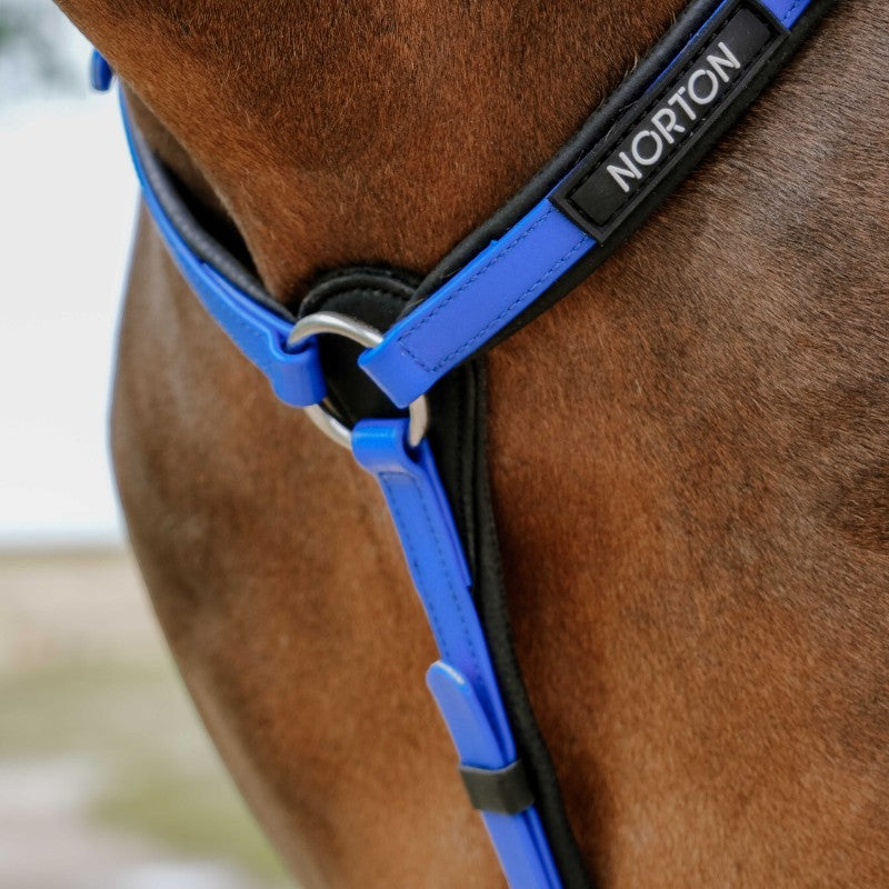 Norton - Collier de chasse endurance Pop bleu électrique | - Ohlala