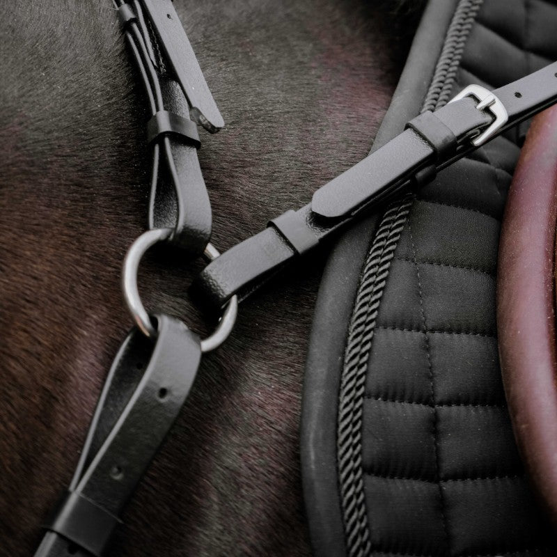 Norton - Collier de chasse endurance Pop noir | - Ohlala