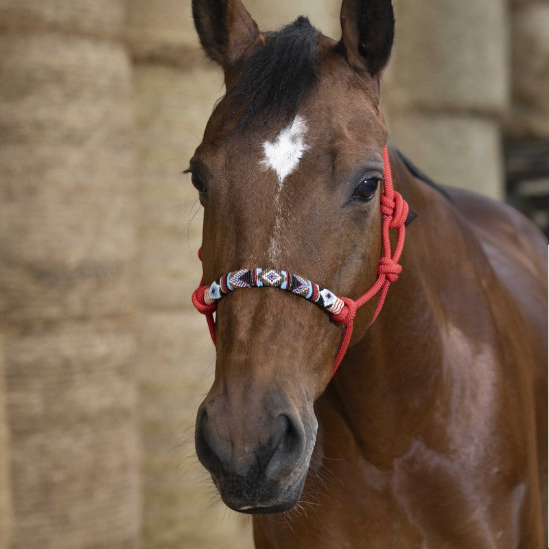 Norton - Licol ethologique pearl rouge | - Ohlala