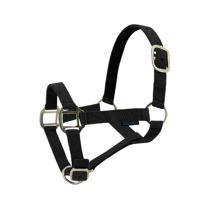 Norton - Licol nylon doublé cuir noir | - Ohlala