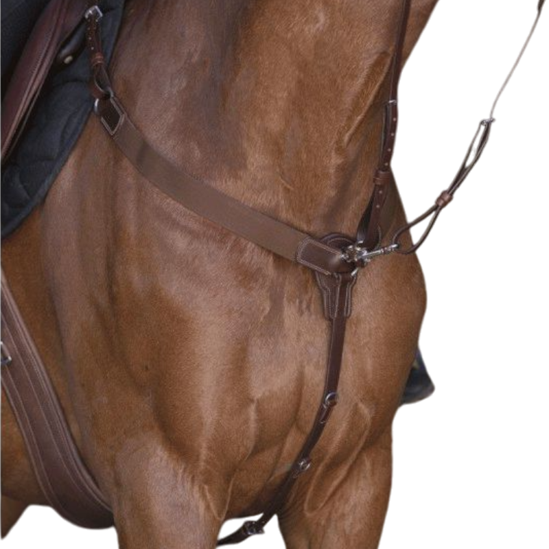 Norton Pro - Collier de chasse élastique havane | - Ohlala