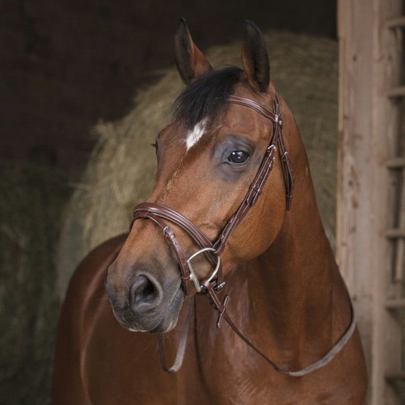 Norton Pro - Rênes caoutchouc havane 16 mm | - Ohlala