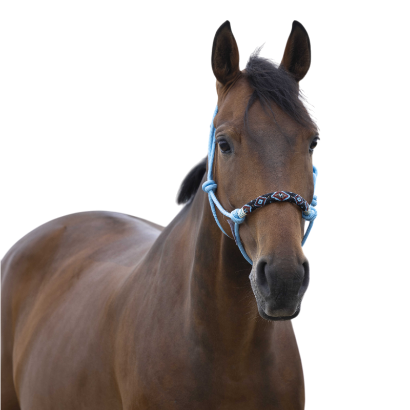 Norton - Licol ethologique pearl bleu | - Ohlala