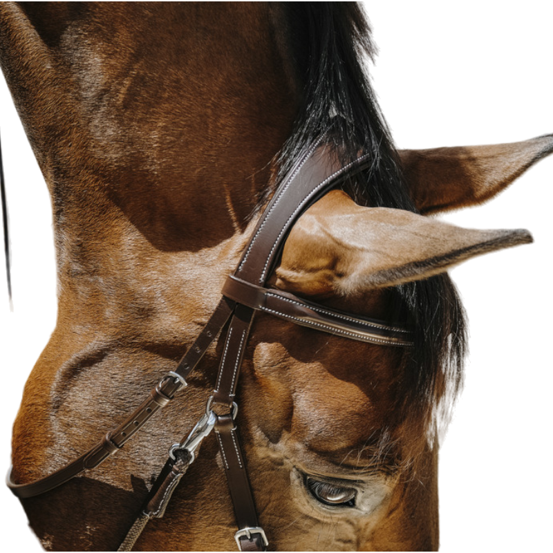 Norton - Bridon Bitless avec rênes havane | - Ohlala