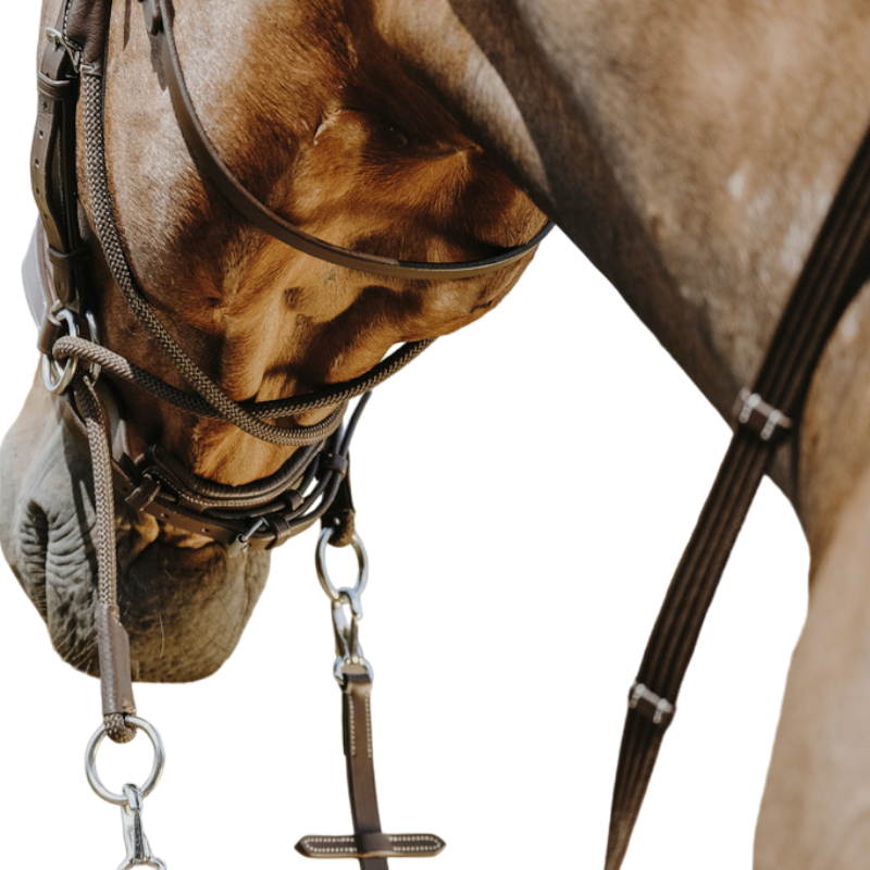 Norton - Bridon Bitless avec rênes havane | - Ohlala