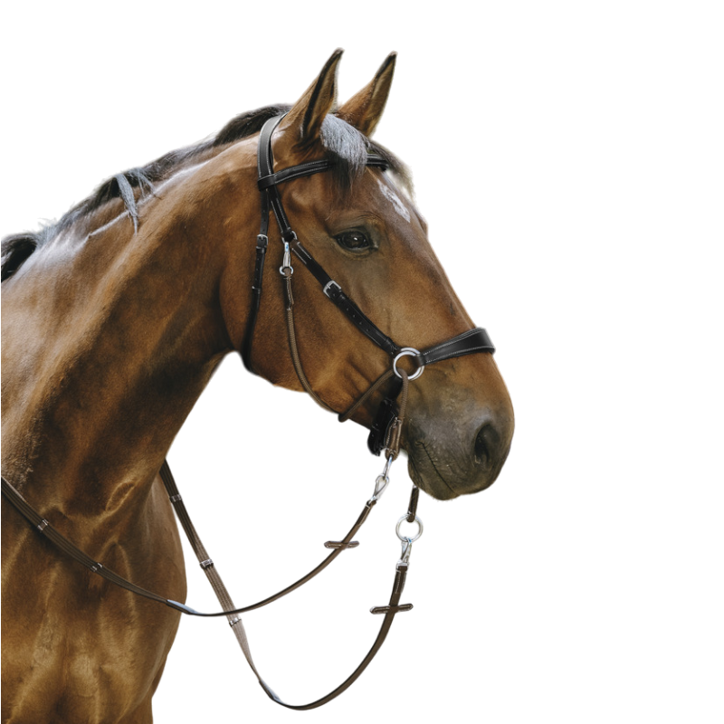 Norton - Bridon Bitless avec rênes noir | - Ohlala