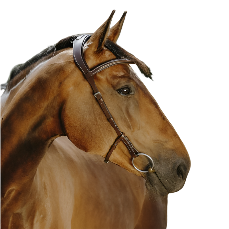 Norton - Bridon Freedom marron | - Ohlala