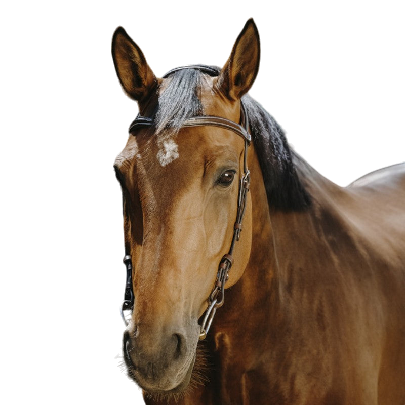 Norton - Bridon Freedom marron | - Ohlala