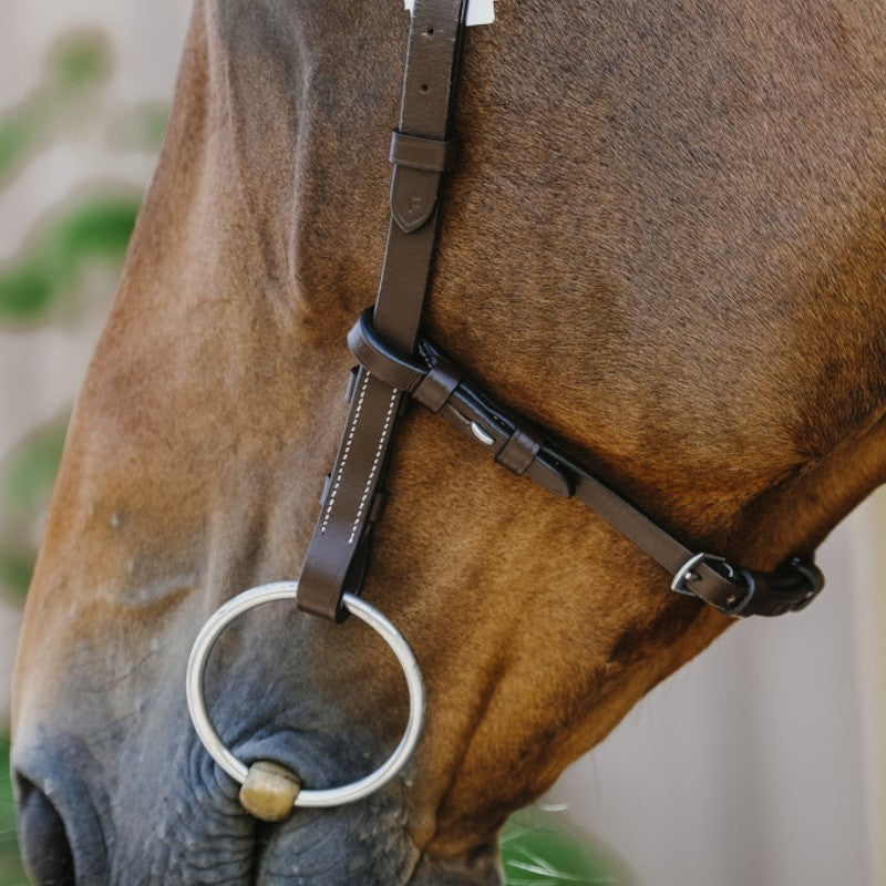 Norton - Bridon Freedom noir | - Ohlala