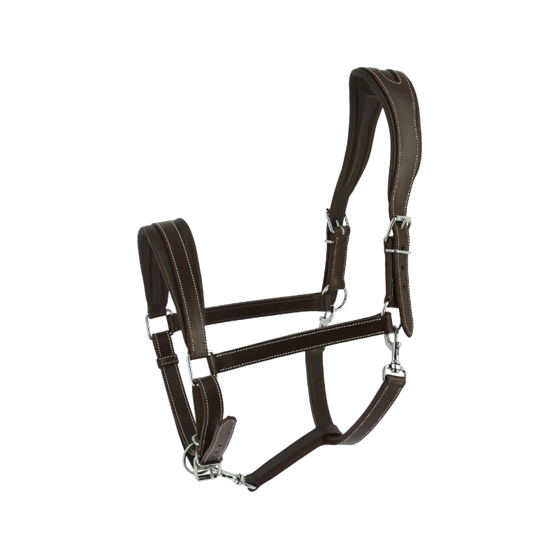 Norton - Licol Ardennais havane | - Ohlala