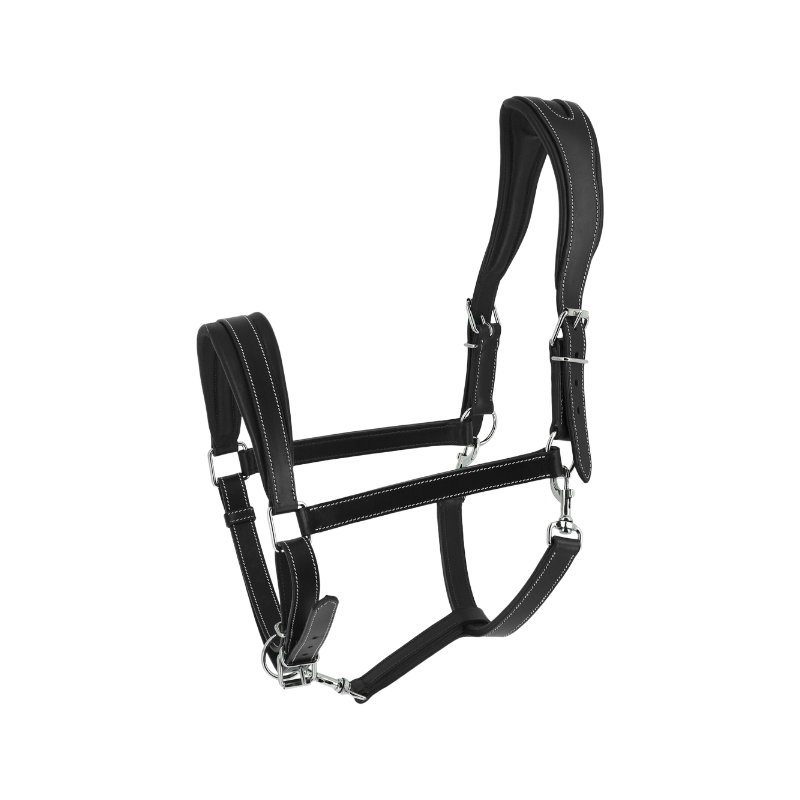 Norton - Licol Ardennais noir | - Ohlala