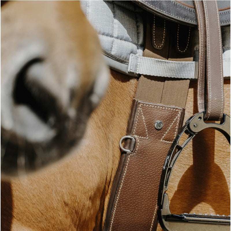 Norton - Sangle anatomique Magnet havane | - Ohlala