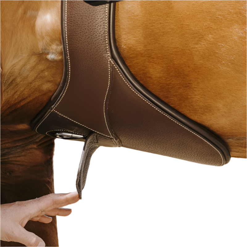 Norton - Sangle bavette Magnet havane | - Ohlala