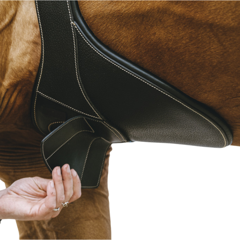 Norton - Sangle bavette Magnet noir | - Ohlala