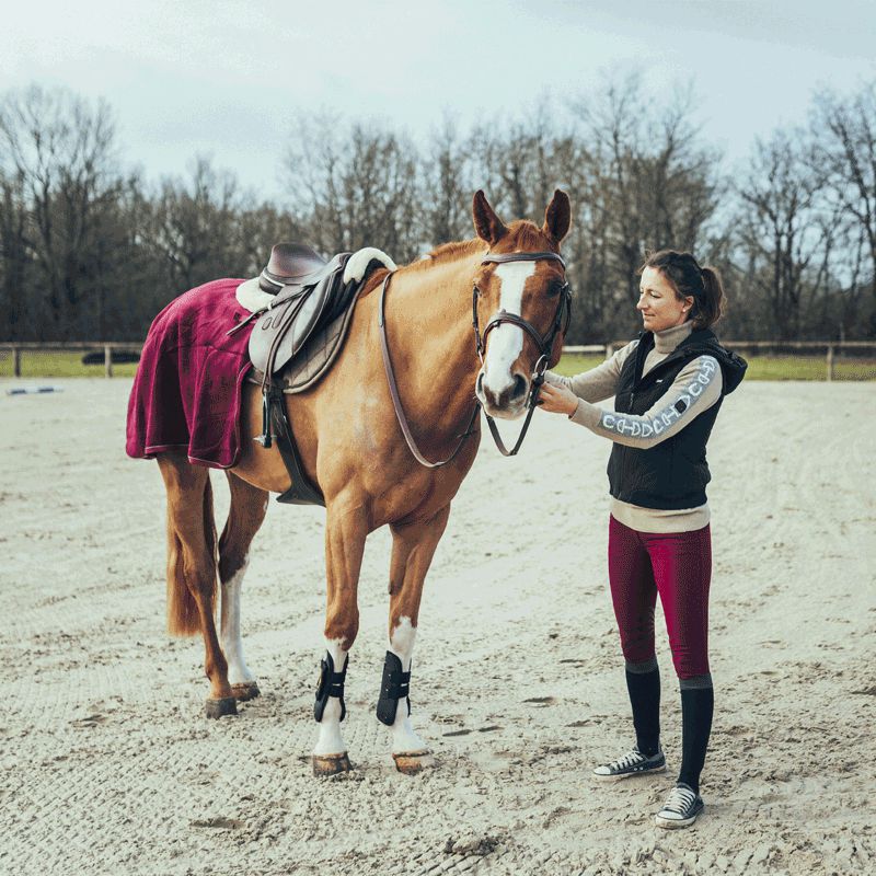 Flags & Cup - Pantalon d'équitation Cayenne enfant Bordeaux | - Ohlala