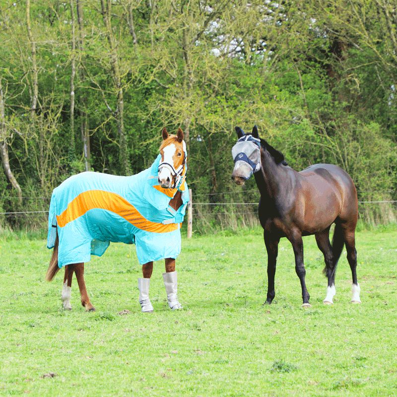 LeMieux - Masque anti-mouche Armor Shield pro | - Ohlala