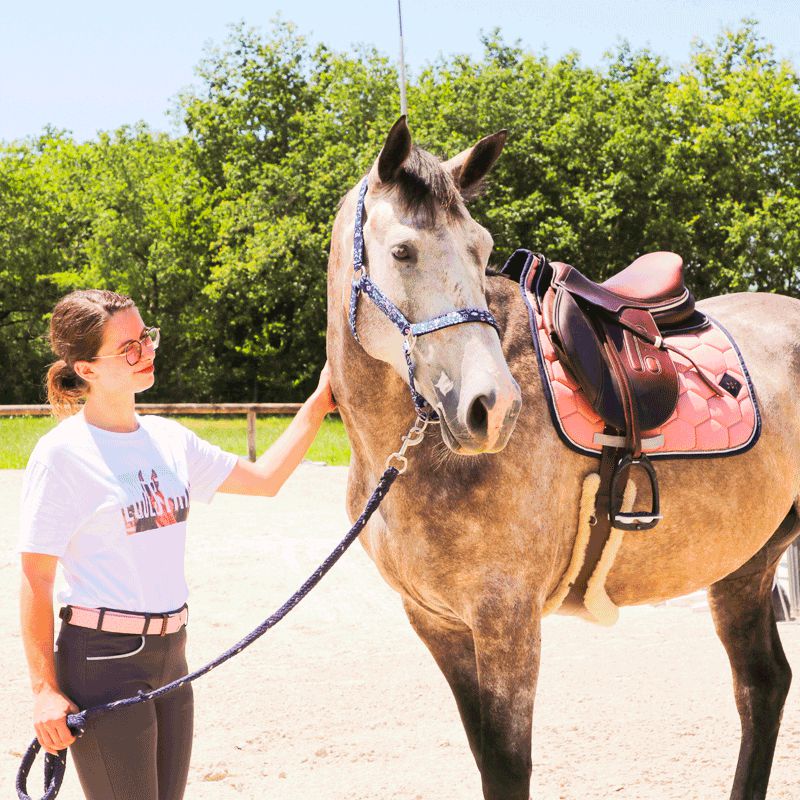 Oxxer - Tapis de selle Intemporels vieux rose | - Ohlala