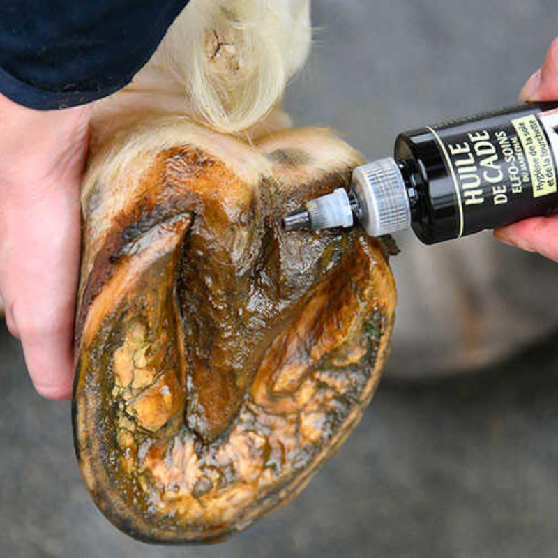 Onguent du Maréchal - Bescherming van de Marshal Elfo Care Vork