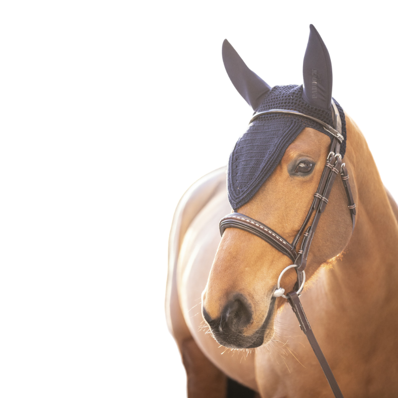 Paddock Sports - Bonnet long anti-bruit Pro coton noir | - Ohlala