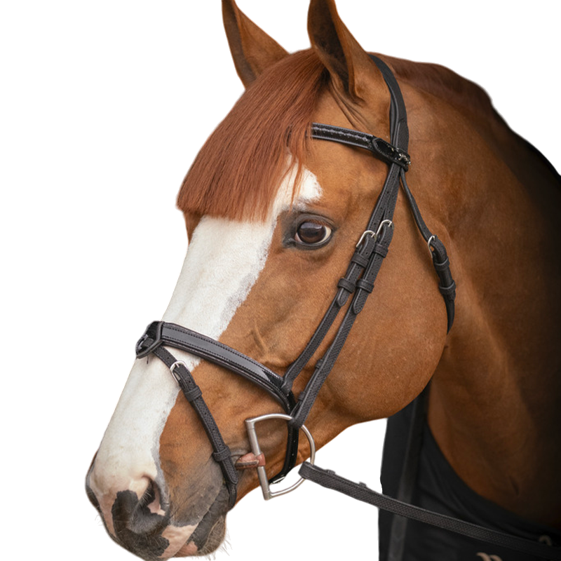 Pénélope - Bridon Oxford noir | - Ohlala