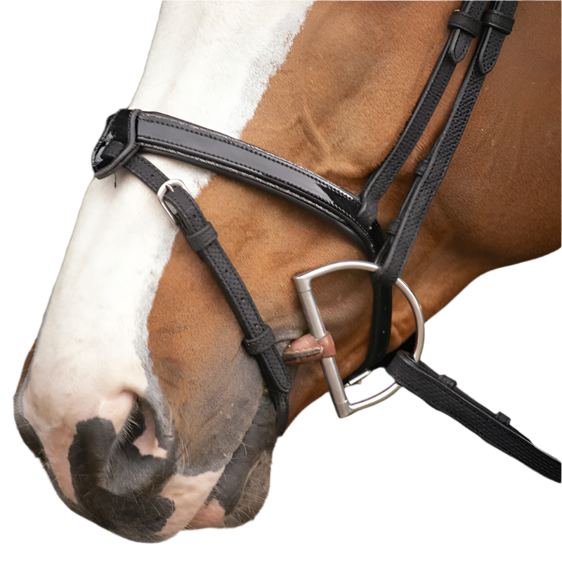 Pénélope - Bridon Oxford noir | - Ohlala