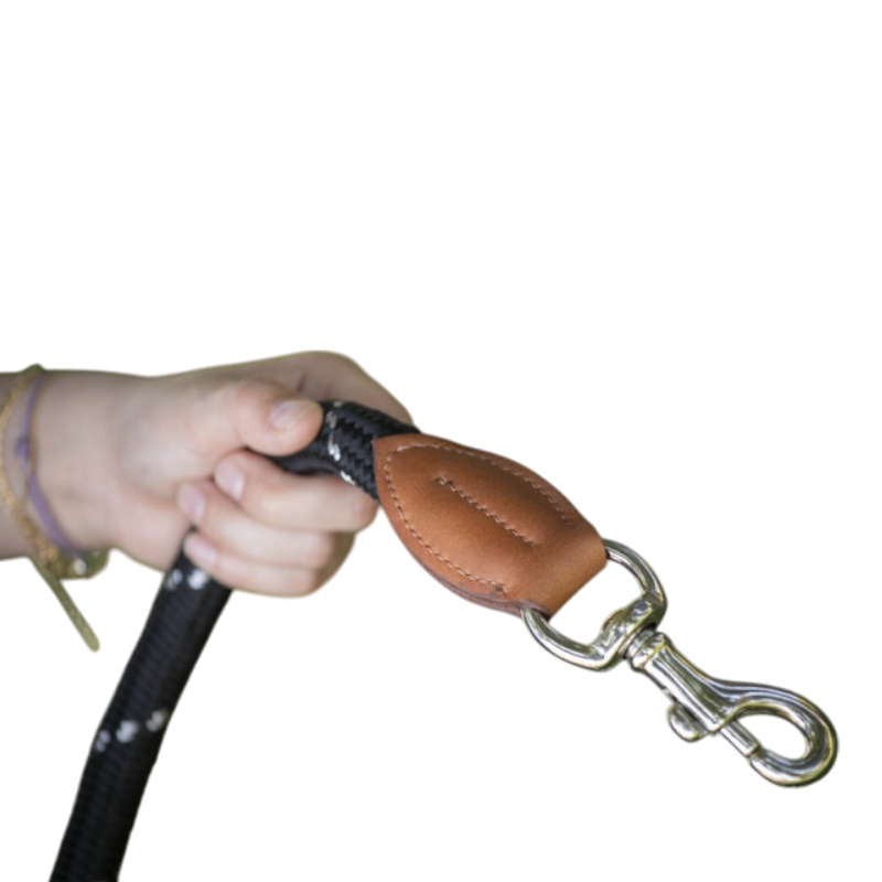 Pénélope - Laisse pour chien Billie noir/ cuir noir | - Ohlala