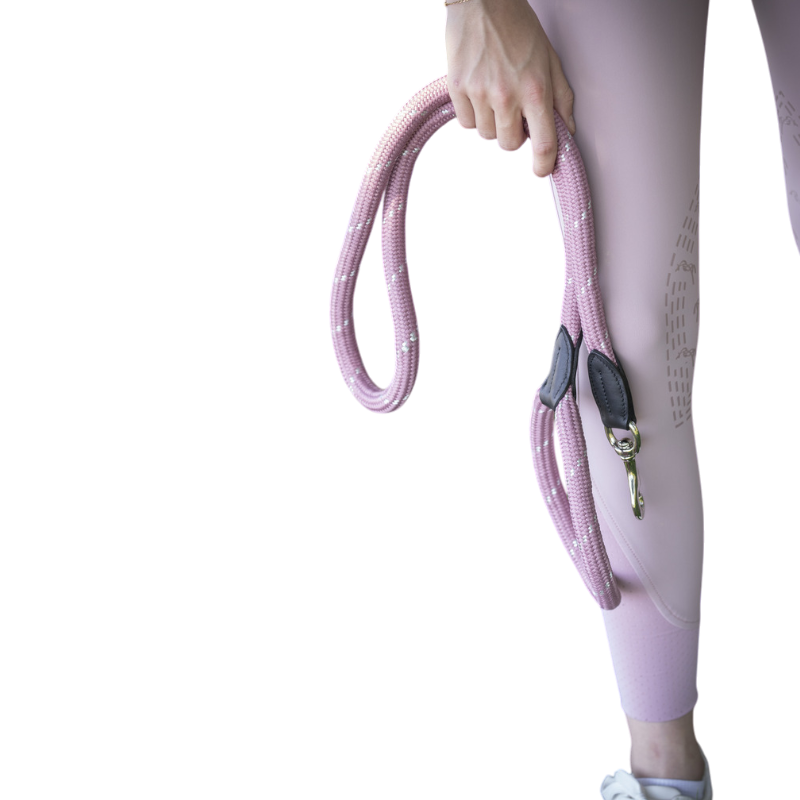 Pénélope - Laisse pour chien Billie rose/ cuir noir | - Ohlala