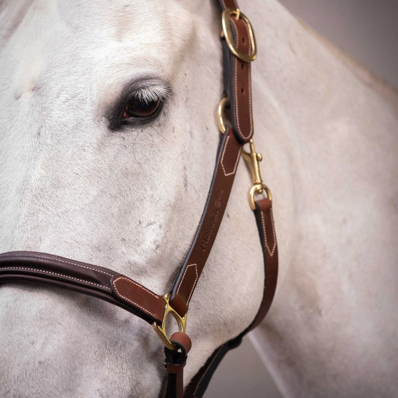 Paddock Sports - Licol 3 mousquetons havane | - Ohlala