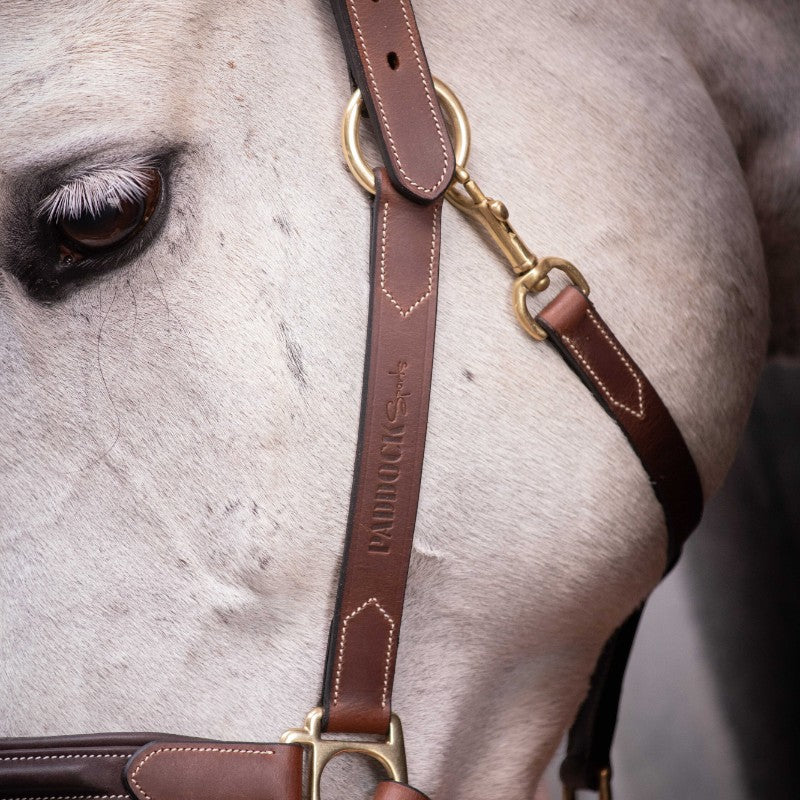 Paddock Sports - Licol 3 mousquetons havane | - Ohlala