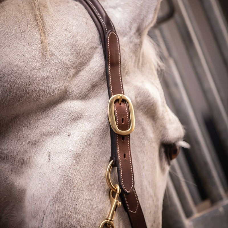 Paddock Sports - Licol 3 mousquetons havane | - Ohlala