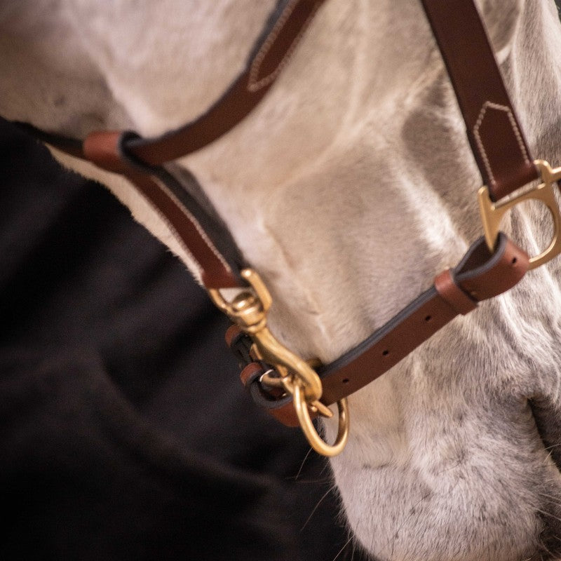 Paddock Sports - Licol 3 mousquetons havane | - Ohlala