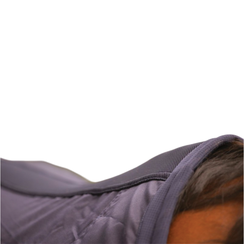 Paddock Sports - Chemise "light mesh" marine | - Ohlala