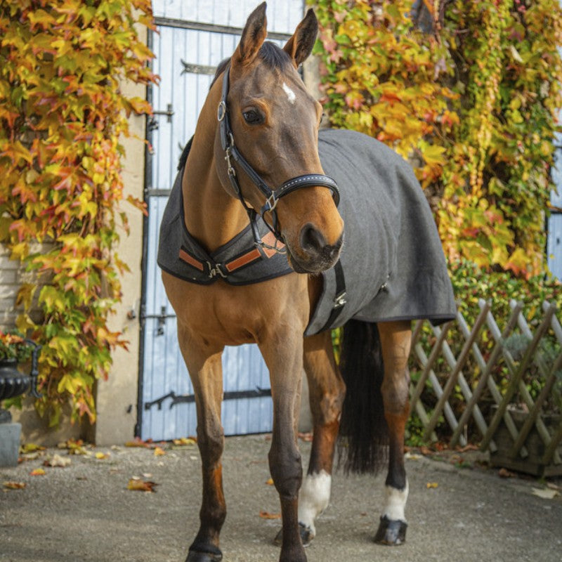 Paddock Sports - Couverture de marcheur Walker Wooltouch gris chiné 0g | - Ohlala