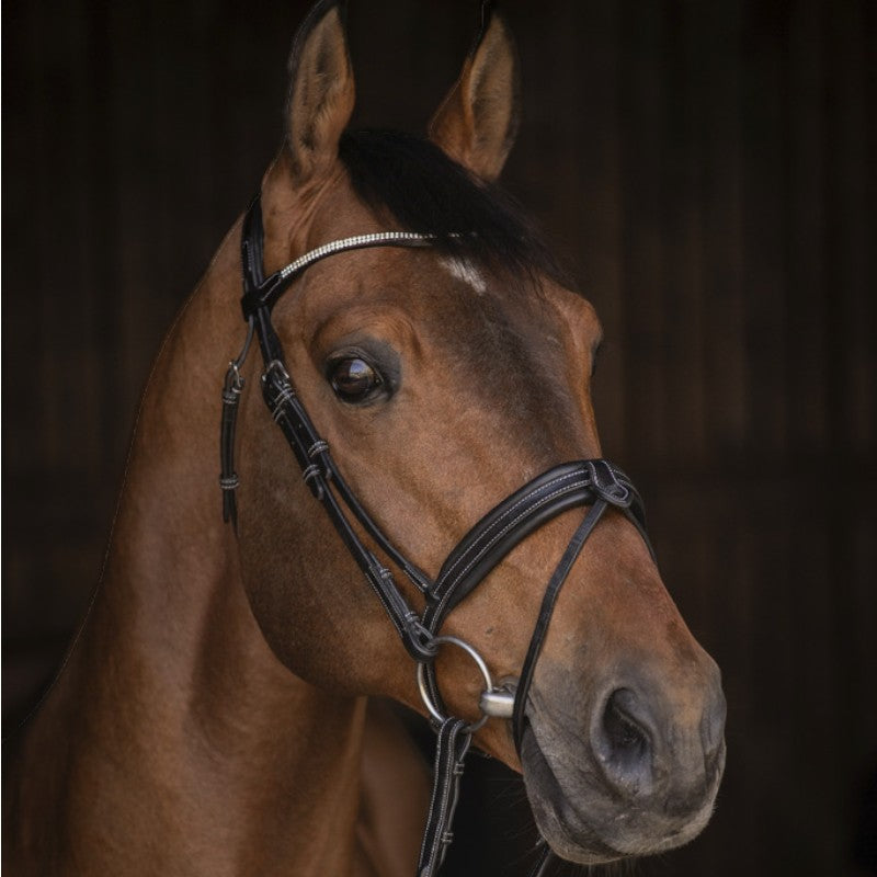 Pénélope - Bridon Daily Strass noir | - Ohlala