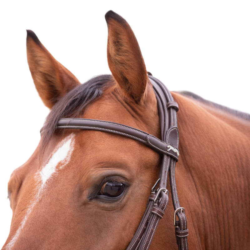 Pénélope - Bridon Elégance havane | - Ohlala