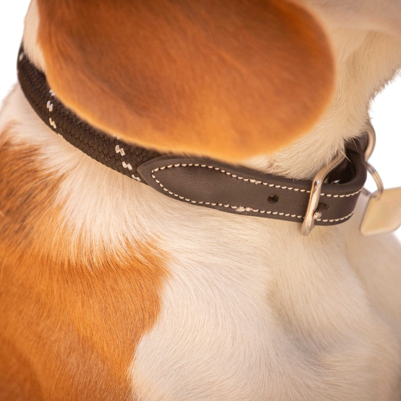 Pénélope - Collier pour chien Billie noir/ lurex | - Ohlala