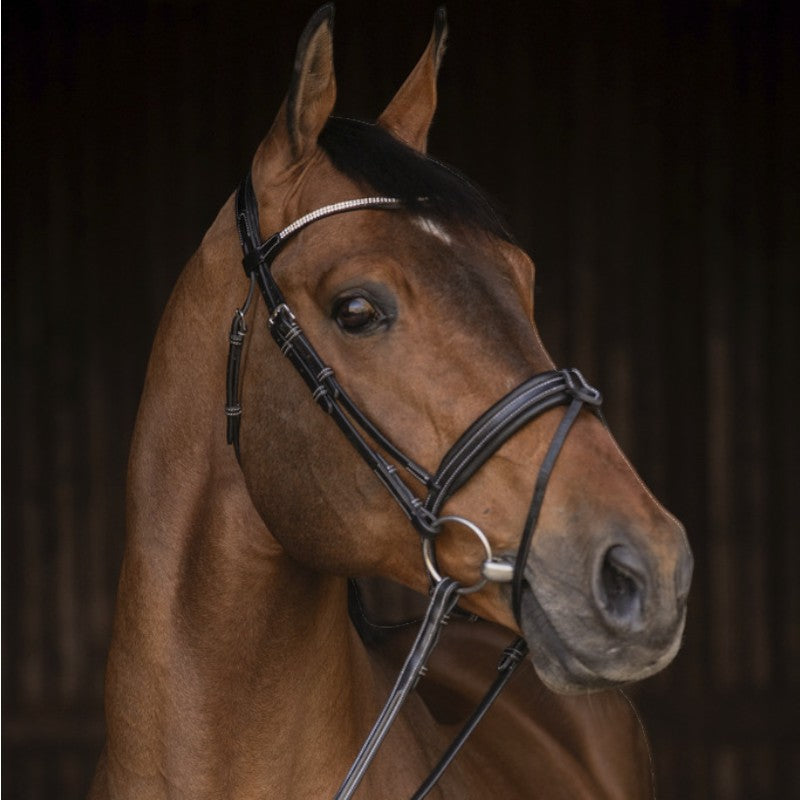 Pénélope - Bridon Daily Strass noir | - Ohlala