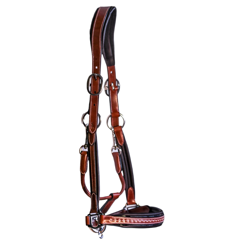 Pénélope - Licol cheval cuir Point Sellier noisette | - Ohlala