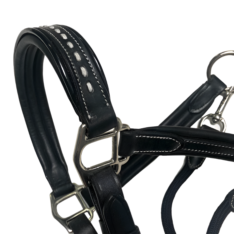 Pénélope - Licol cheval cuir Point Sellier noir | - Ohlala