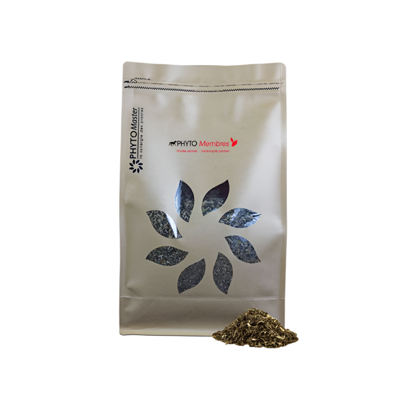 PhytoMaster - Complément alimentaire soutien des membres Phyto Membres | - Ohlala