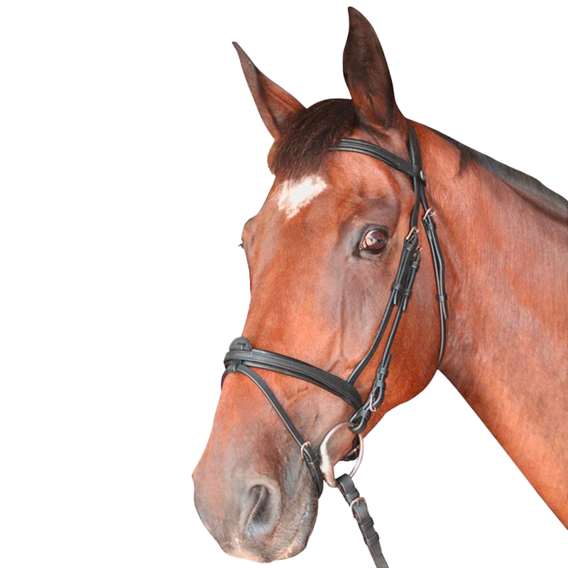 Privilege Equitation - Bridon Cabourg gecombineerd met zwarte teugels